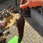 WhatsApp Image 2024 10 28 at 15.07.35