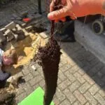 WhatsApp Image 2024 10 28 at 15.07.35