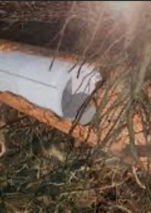 Services 22 IMG_0510