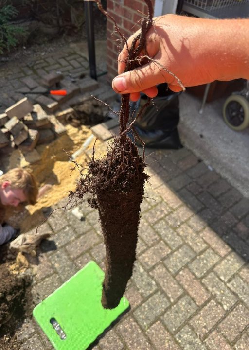 Services 7 drain root cutting