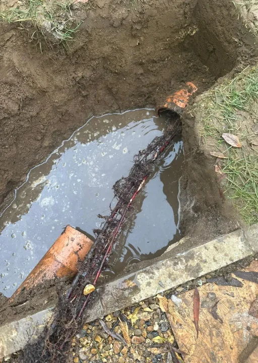 Services 11 WhatsApp Image 2024-10-28 at 17.05.11 (2)