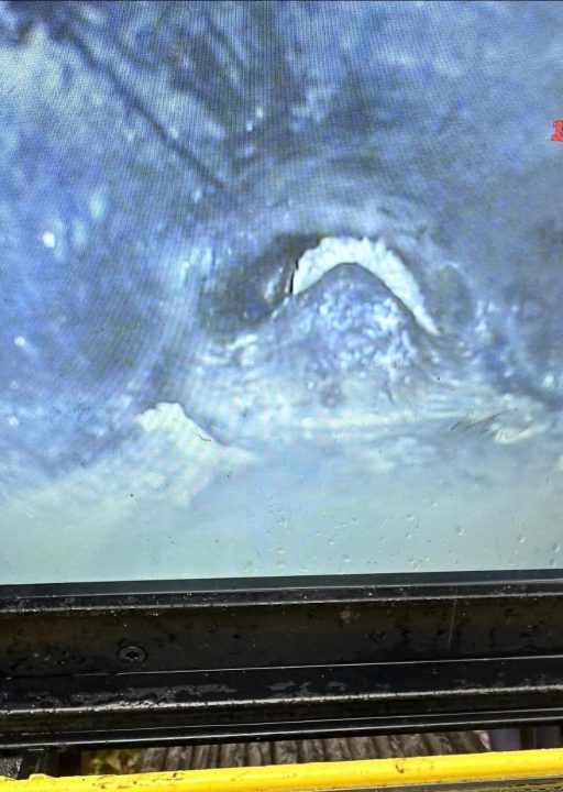 Services 26 pitch fibre